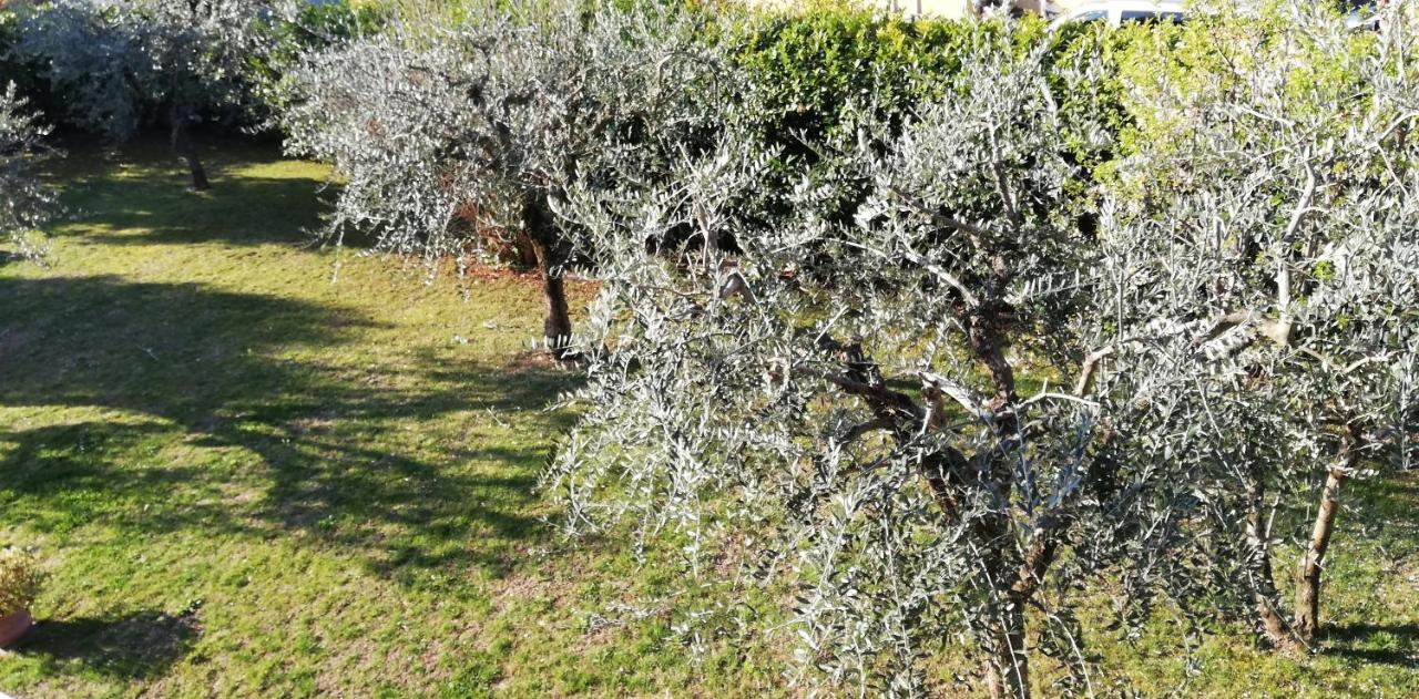 Il Melograno Bed & Breakfast Garda  Bagian luar foto